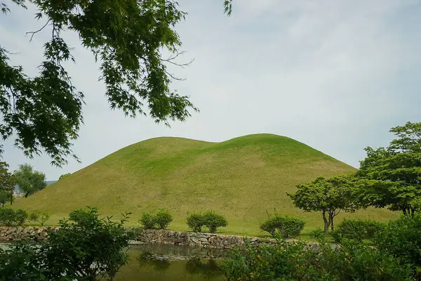 Doğanın güzel manzarası