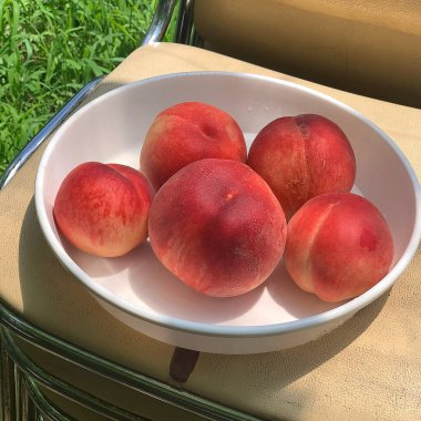 Masada taze kırmızı ve beyaz erikler var.