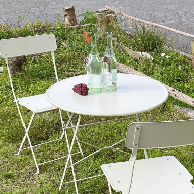 Sandalye ve çiçekli boş masa