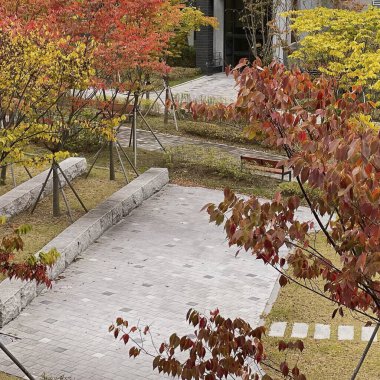 Şehirdeki güzel sonbahar parkı