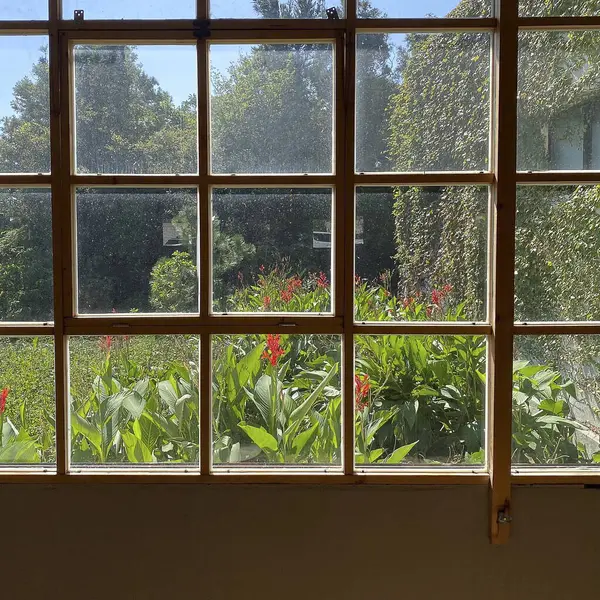 Bir bardak suyla güzel bir pencere.