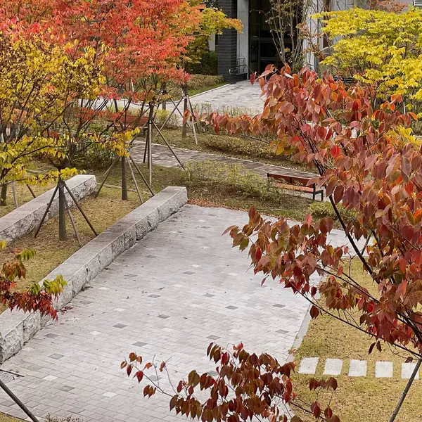 Şehirdeki güzel sonbahar parkı