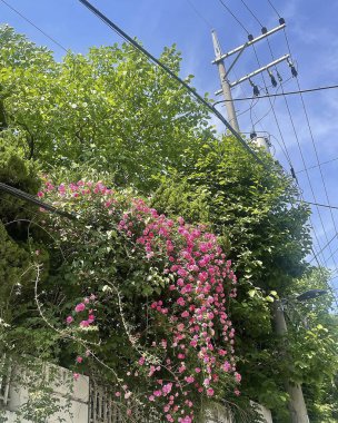 Barselona şehrinin manzarası