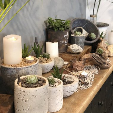 Güzel botanik fotoğrafı, doğal duvar kağıdı.