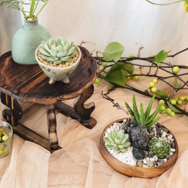 Güzel botanik fotoğrafı, doğal duvar kağıdı.