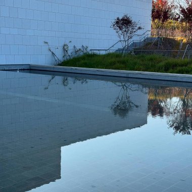 Güzel göl manzarası