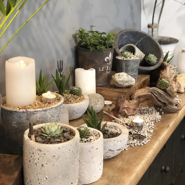 Güzel botanik fotoğrafı, doğal duvar kağıdı.