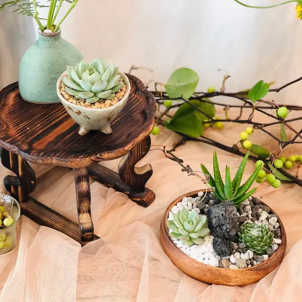 Güzel botanik fotoğrafı, doğal duvar kağıdı.