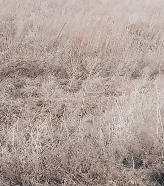 Doğanın güzel manzarası