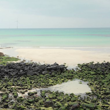 Deniz çekildiğinde bir kumsalda manzara, güneşli bir günde alçak gelgit, Fransa