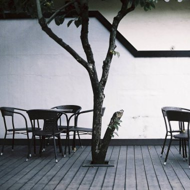 Parkın güzel manzarası