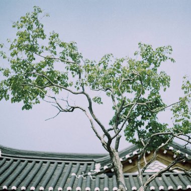 Parkın güzel manzarası