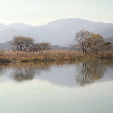 Arkasında bir göl olan güzel bir manzara.