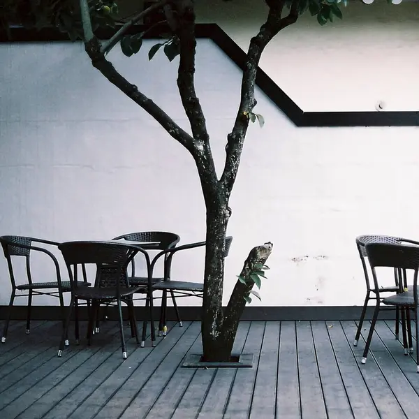 Parkın güzel manzarası