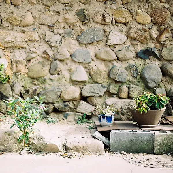 Bahçedeki güzel çiçekler