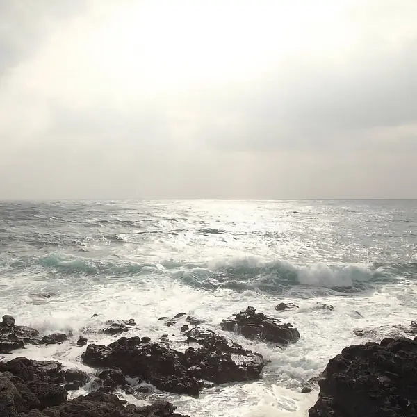 Tenerlife 'de deniz ve kayalar