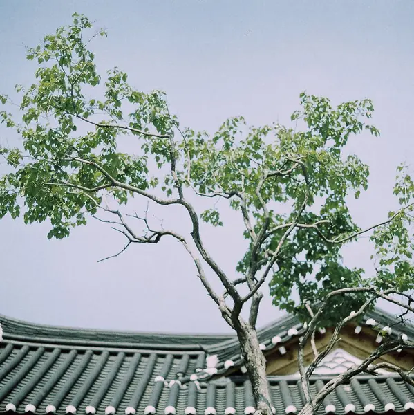 Parkın güzel manzarası