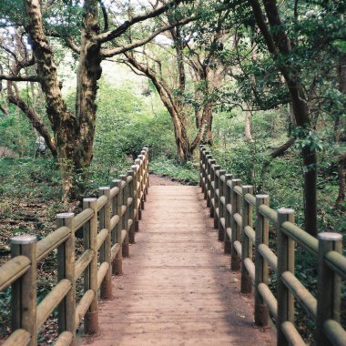 Parkın güzel manzarası