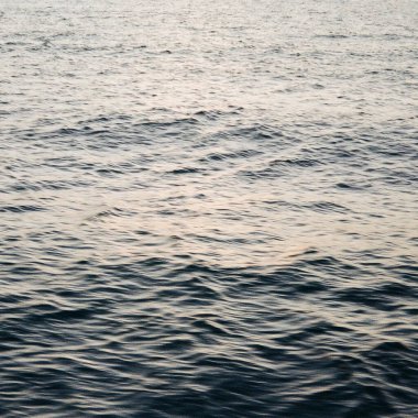 Sahildeki deniz dalgaları