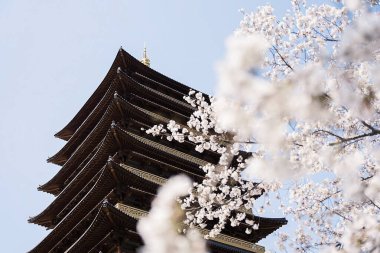 Parkın güzel manzarası.