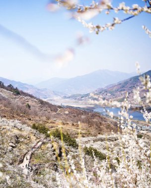 Dağlarda dağları olan güzel bir manzara.