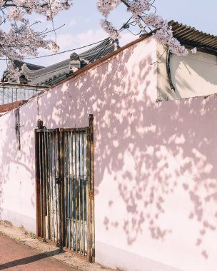 Eski şehrin manzarası.