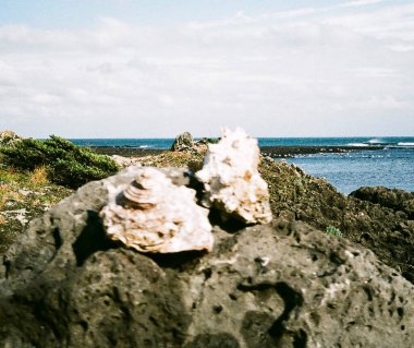 Taşlı ve taşlı deniz kıyısı