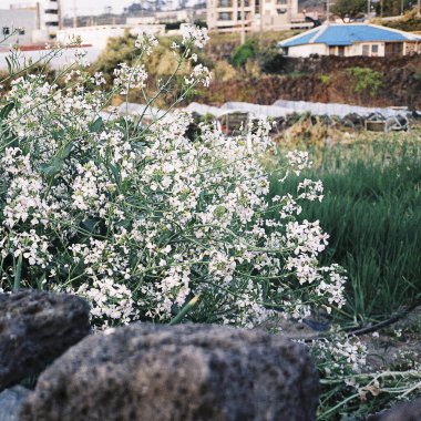 Deniz kıyısının güzel manzarası