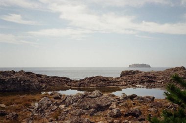 Açık bulutlu gökyüzünün altında ağaçlarla çevrili güzel bir göl görüntüsü.