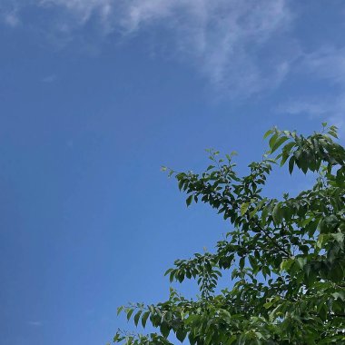 Bulutlar, Doğa arka plan ile mavi gökyüzü