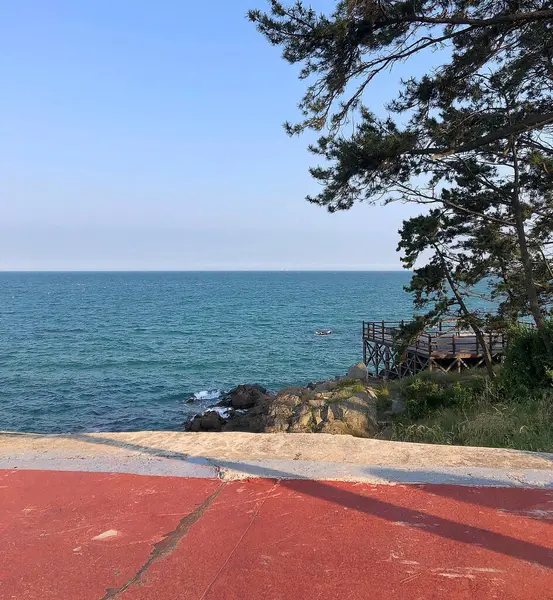 Deniz kıyısının güzel manzarası