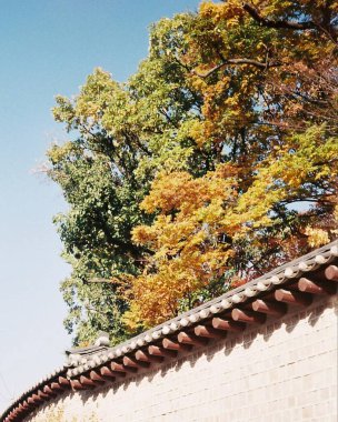 Parkın güzel manzarası