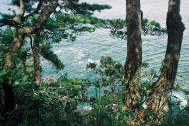 Güzel deniz manzarası