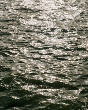 Sahildeki deniz dalgaları