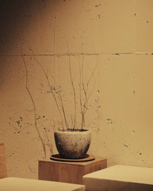 Beyaz arkaplanda güzel beyaz bir seramik vazonun yakın plan çekimi.