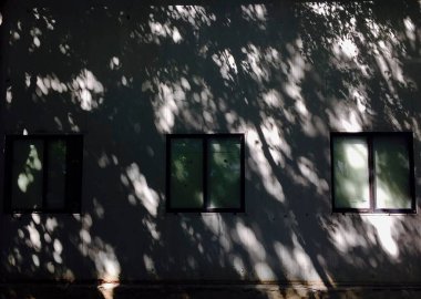 Pencereli ve yeşil yapraklı pencere