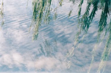 Güzel göl manzarası