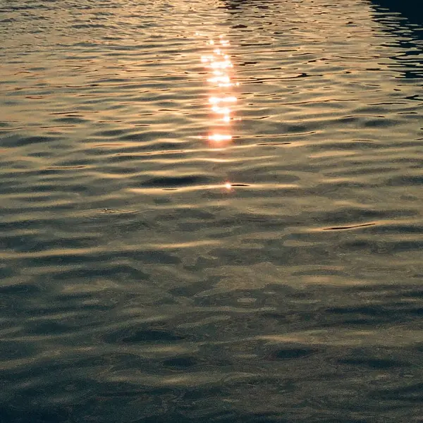 Suda yansıması olan güzel bir gün batımı