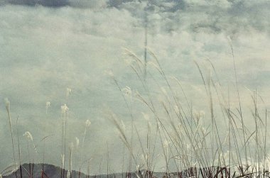 Ağacı ve dağı olan güzel bir manzara.