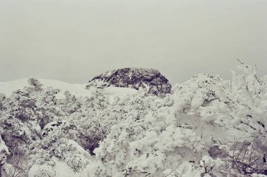 açık hava manzarasının resimsel görüntüsü