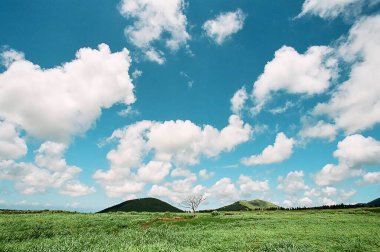 Güzel bir manzara Ağacı ve mavi gökyüzü
