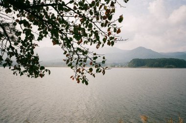 Güzel bir dağ manzaralı göl.