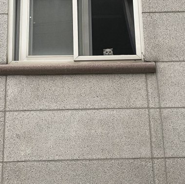 Modern apartmanın penceresi