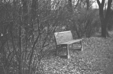 Parktaki bankta oturan genç bir çiftin siyah beyaz fotoğrafı.