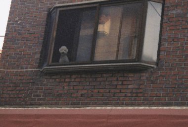 Şehrin eski ahşap penceresi