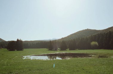 Doğanın güzel manzarası
