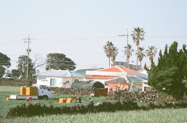 Sabahları parkın manzarası.