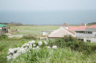 Deniz kıyısının güzel manzarası