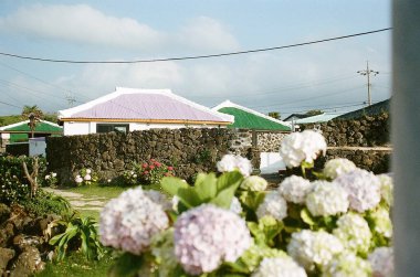 Çiçekli beyaz bir evin dikey görüntüsü.