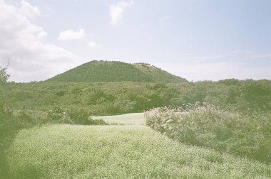 Doğa sahnesinin resimsel görüntüsü